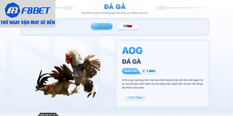 Sảnh AOG chuyên nghiệp